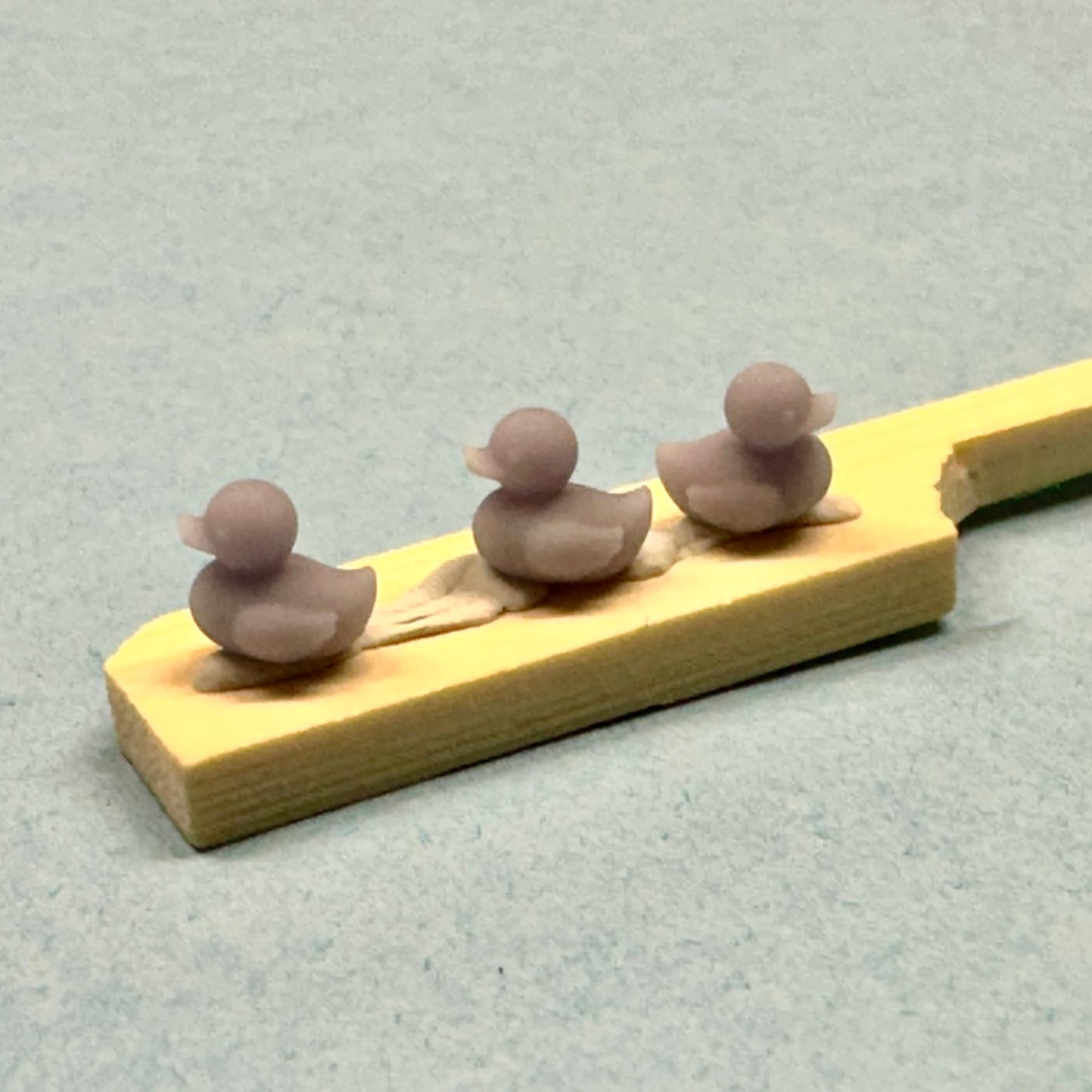 Rubber Ducks 1/24 1/25