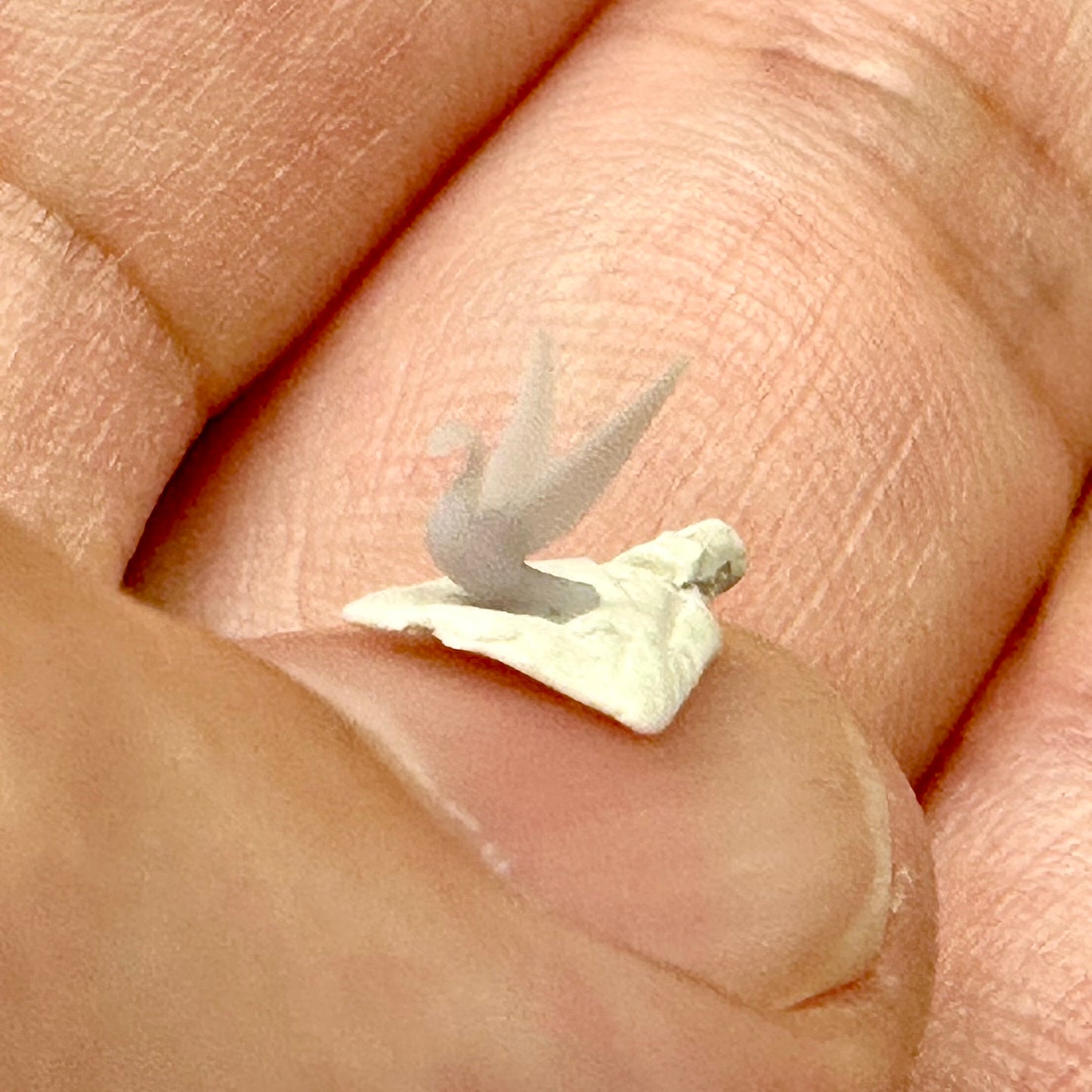 Swan Hood Ornament 1/24 1/25