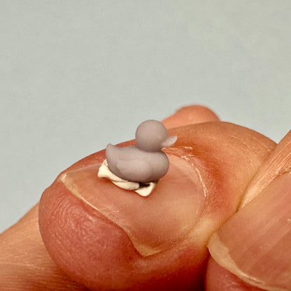 Rubber Ducks 1/24 1/25