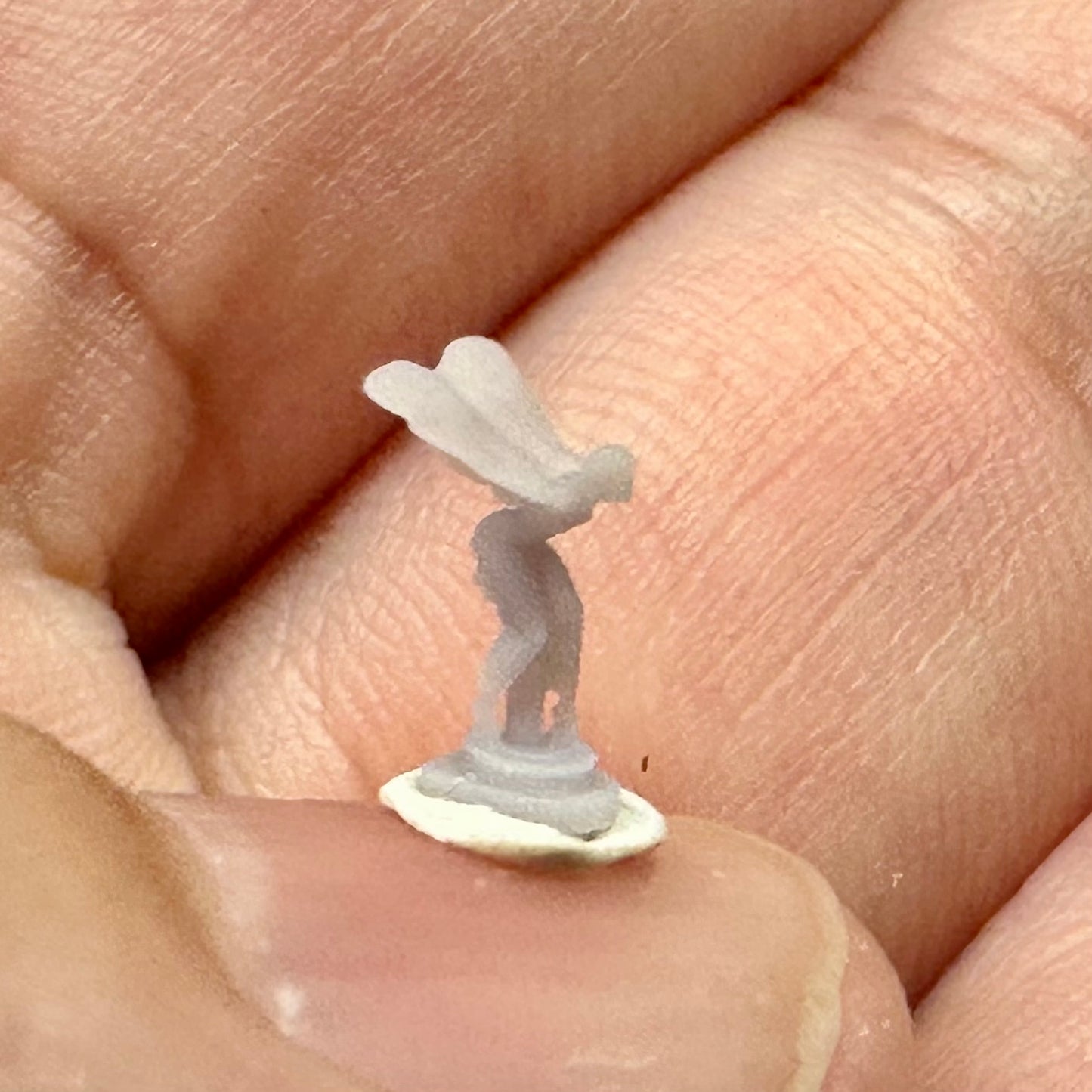 Hood Ornament Set 1/24 1/25