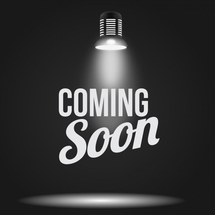 1987 - 1993 Mustang Stalker Conversion Body Kit 1/24 - COMING SOON