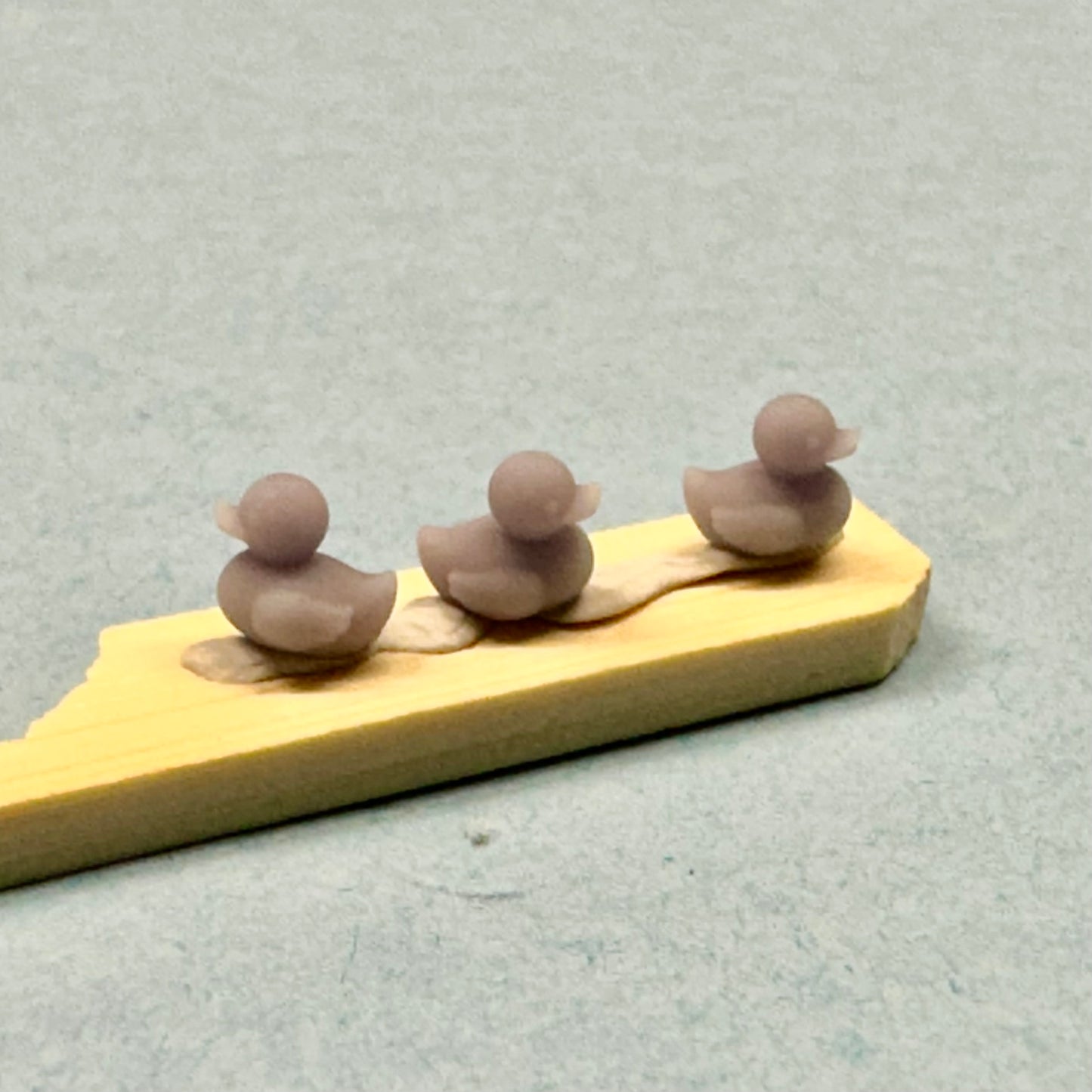 Rubber Ducks 1/24 1/25